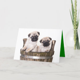 Happy Birthday Pug Puppy Dog Greeting Card - Verse