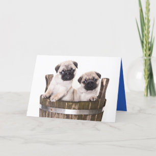 Happy Birthday Pug Puppy Dog Greeting Card - Verse