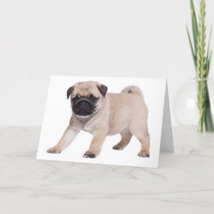 Happy Birthday Pug Puppy Dog - Verse Inside Card