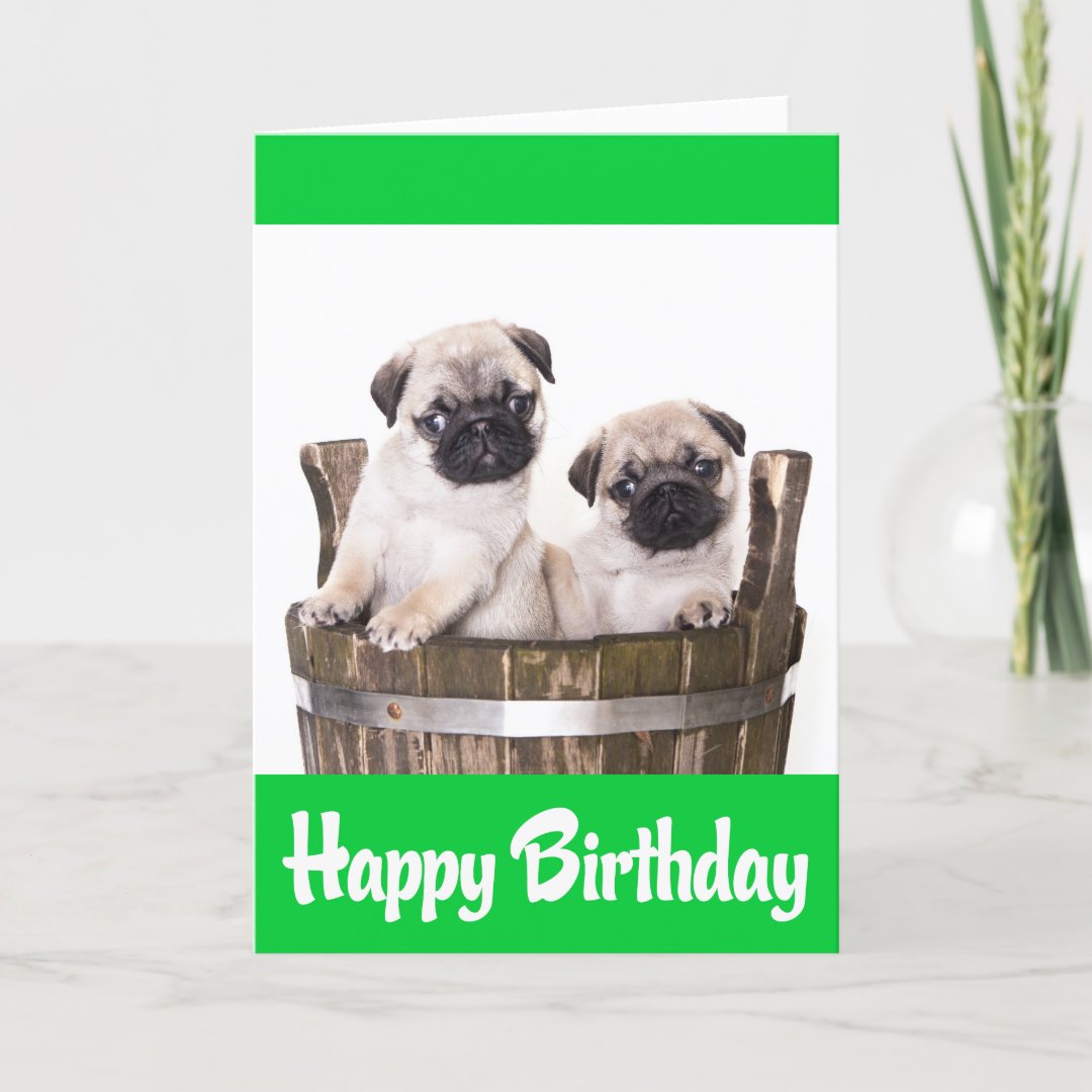 Happy Birthday Pug Puppy Dogs Greeting Card Verse | Zazzle