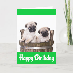 Happy Birthday Pug Puppy Dogs Greeting Card Verse