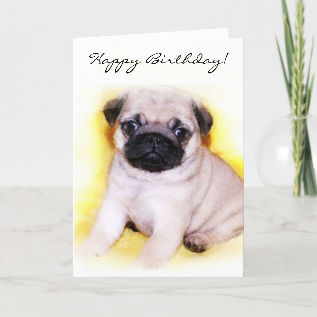 Happy Birthday Pug Puppy greeting card | Zazzle