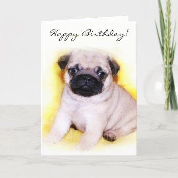 Happy Birthday Pug Puppy Greeting Card by ritmoboxer at Zazzle