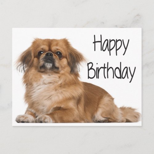 Happy Birthday Puppy Dog Black Postcard