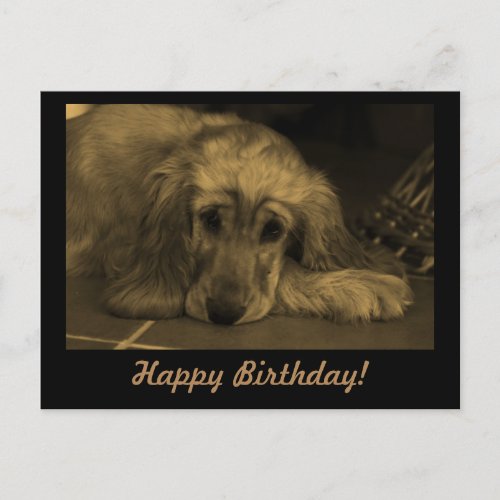 Happy Birthday Puppy Dog Postcard