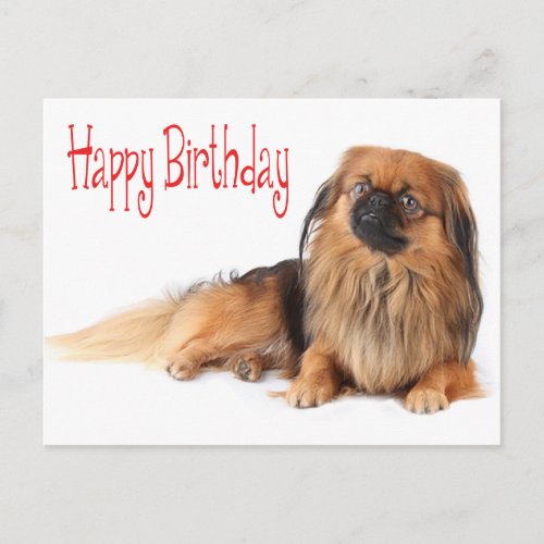 Happy Birthday Puppy Dog Red Postcard