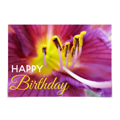 Happy Birthday Purple and Yellow Daylily Card