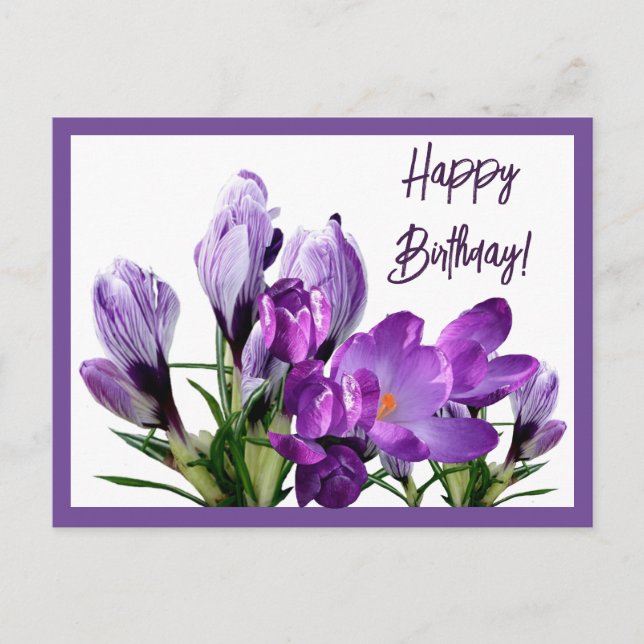 Happy Birthday purple crocuses flowers boho cute Postcard (Front)