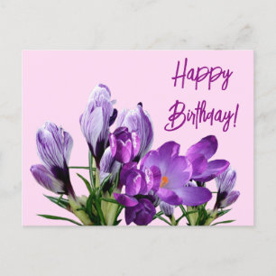 Happy Birthday purple crocuses flowers boho cute Postcard