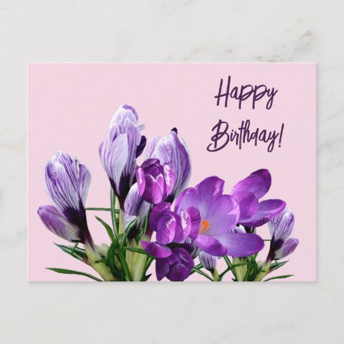 Happy Birthday purple crocuses flowers boho cute Postcard