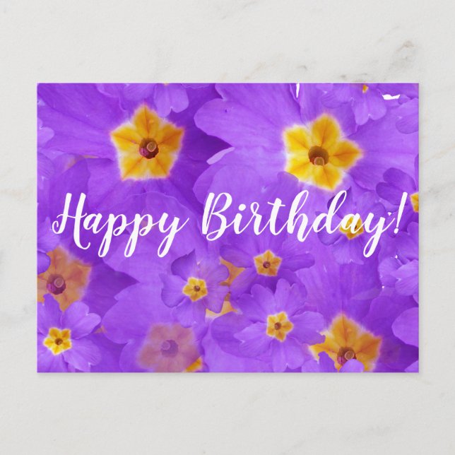 Happy Birthday, Purple Flowers  Postcard (Front)