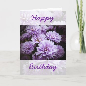 Happy Birthday - Purple Haze Chrysanthemums Card by CarolsCamera at Zazzle