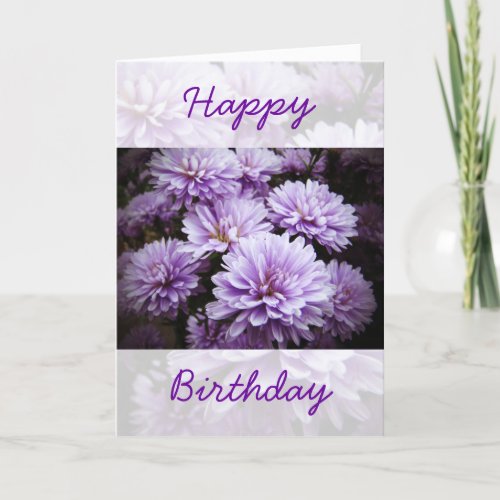 Happy Birthday _ Purple Haze Chrysanthemums Card