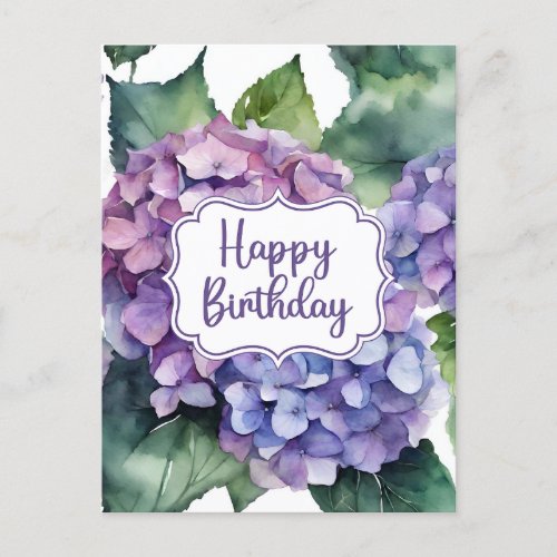Happy Birthday Purple Hydrangea Flowers  Postcard