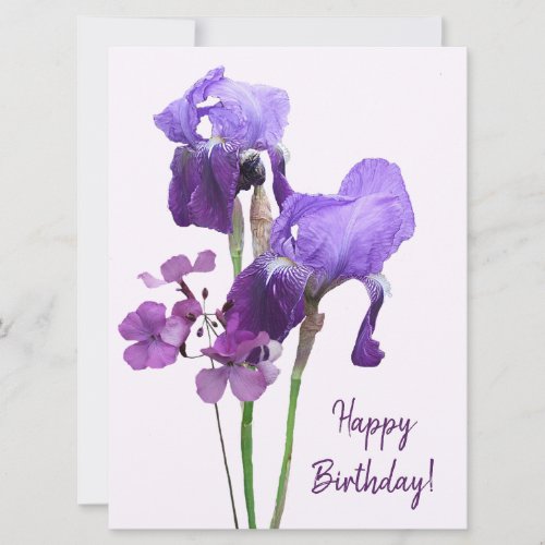 Happy birthday purple iris boho floral pretty cute holiday card