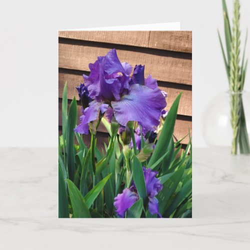 Happy Birthday  Purple Iris Card