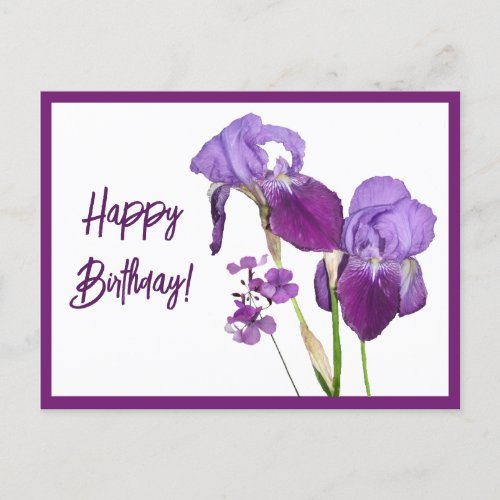 Happy Birthday purple irises beautiful floral cute Postcard