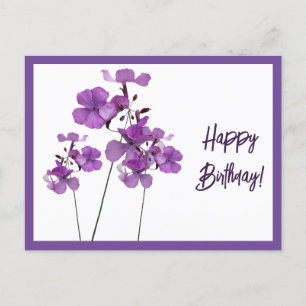 Happy Birthday purple Scottish wild flowers boho Postcard