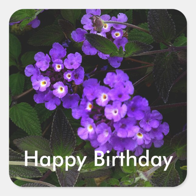 Happy Birthday Purple Trailing Lantana #1 Stickers (Front)