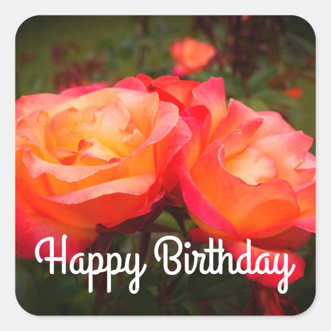Happy Birthday Rainbow Sorbet Rose #3 Stickers (Front)