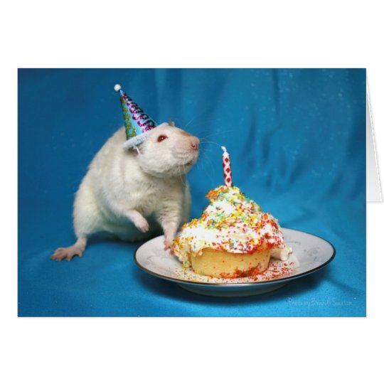 Happy Birthday Rat Card Zazzle Com