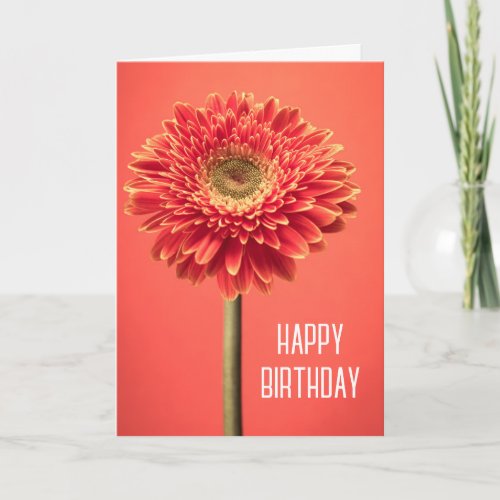 Happy Birthday  Red Barberton Gerbera Daisy Card