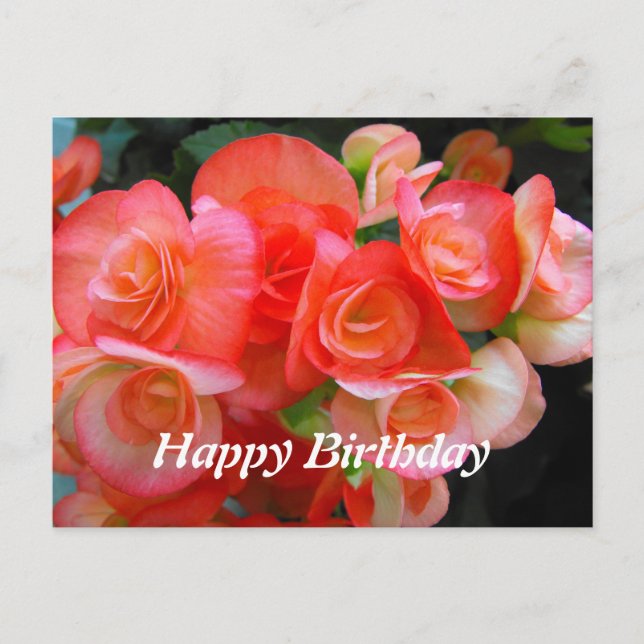 happy birthday red begonia flowers postcard (Front)
