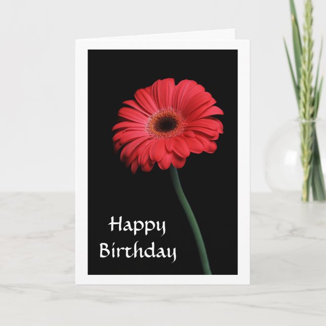 Happy Birthday Red Gerbera Daisy Greeting Card (Front)