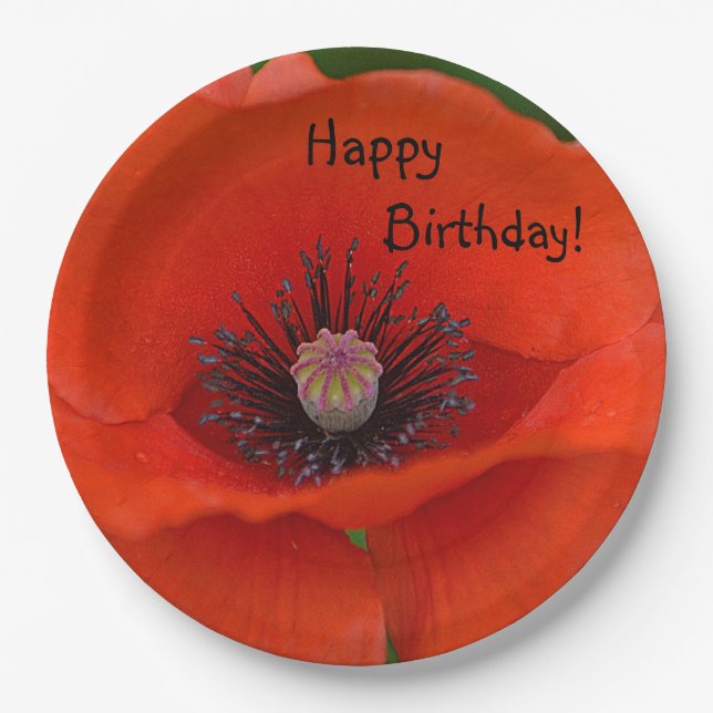 Happy Birthday Red Poppy Paper Plates (Front)
