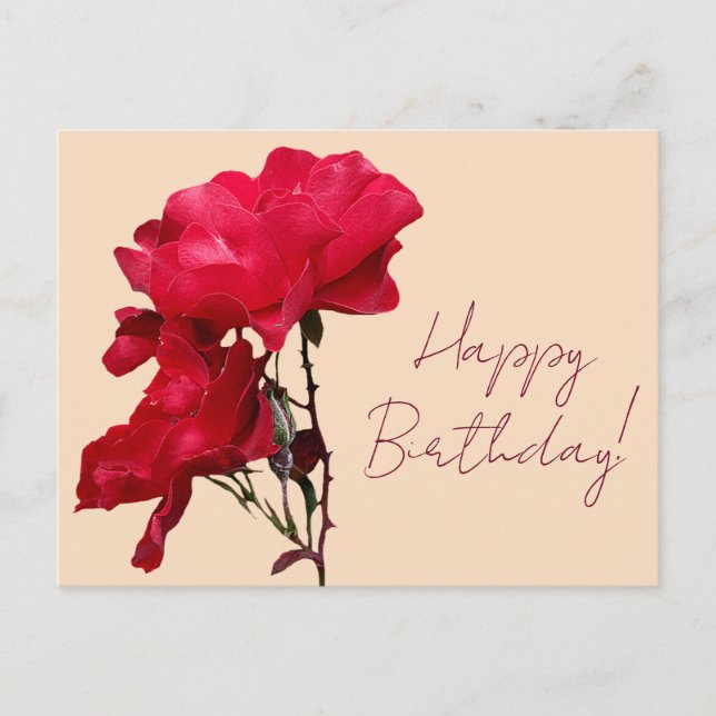 Happy Birthday red rose flowers boho floral pretty Postcard (Front)
