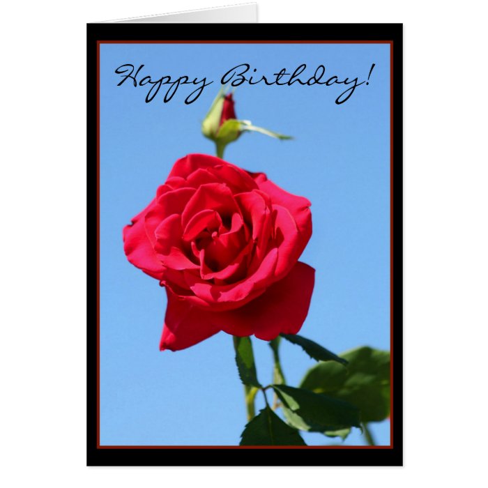 Happy Birthday Red Rose greeting card