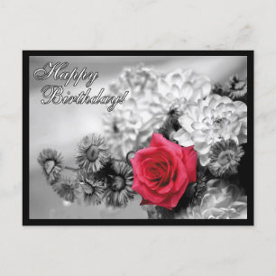Happy Birthday! Red Rose with Black and White Postcard