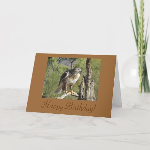 Happy Birthday Red Tailed Hawk Card