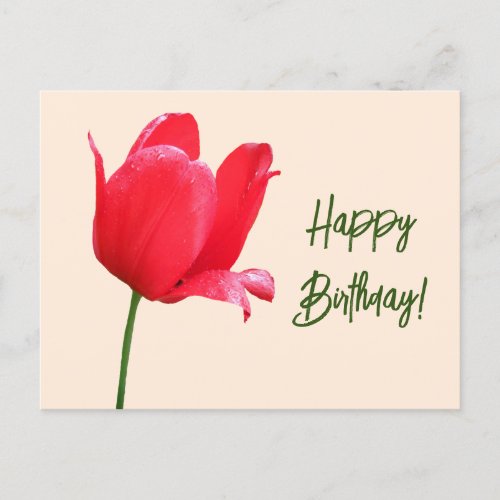 Happy Birthday red tulip minimalist floral boho  Postcard