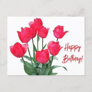 Happy Birthday red tulips colourful bright floral  Postcard