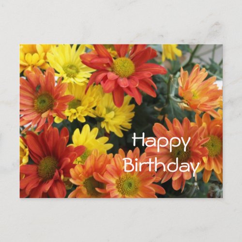 Happy birthday red yellow  orange daisy flower postcard