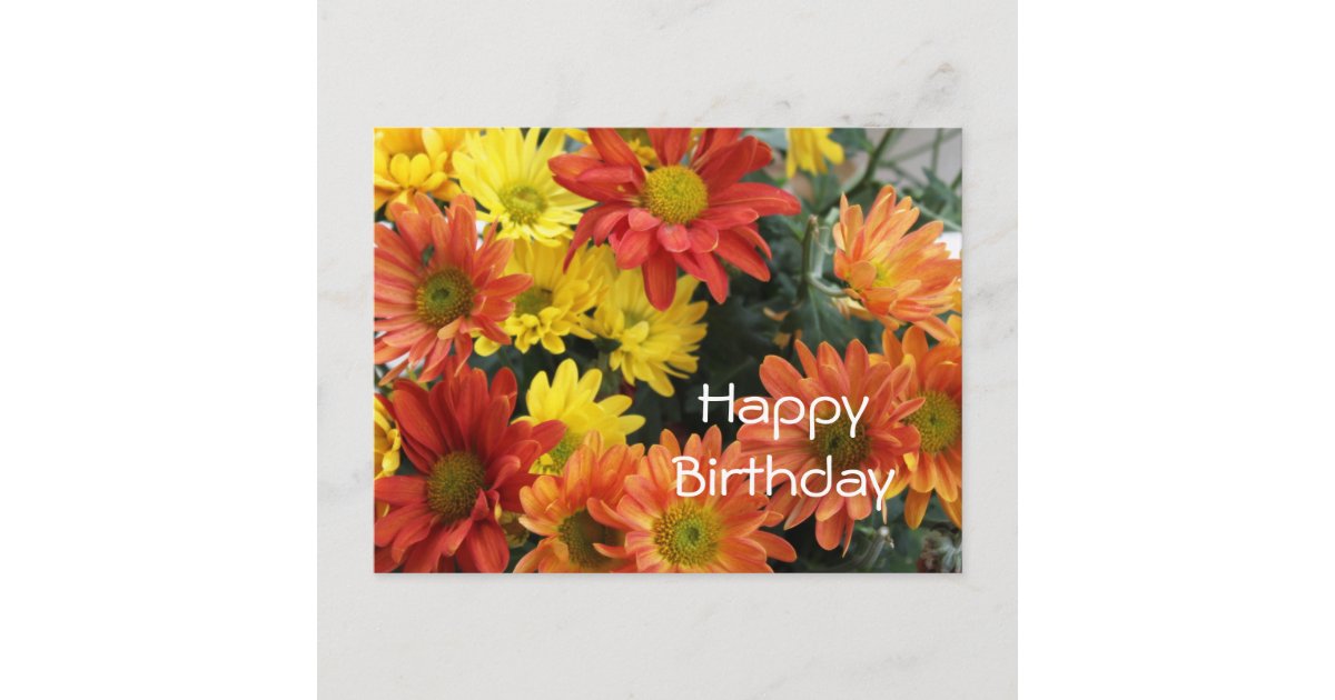 Happy birthday, red, yellow & orange daisy flower postcard | Zazzle