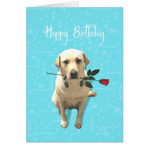 Happy Birthday, Retriever Dog with Rose, Adorable Cards