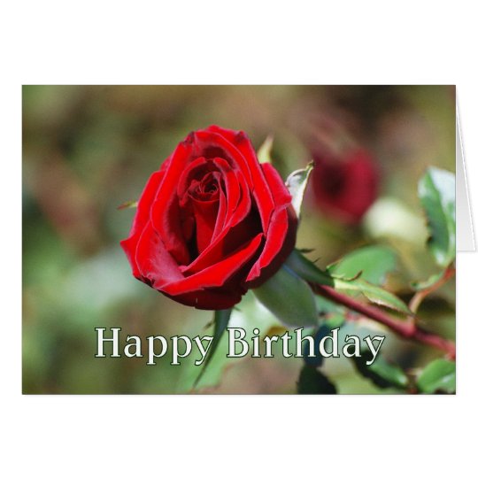 Happy Birthday Romantic Red Rose Card | Zazzle.com