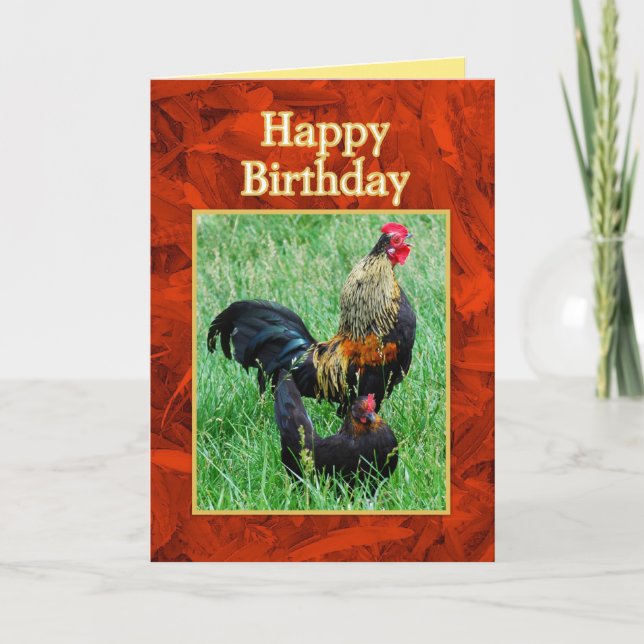 Happy Birthday Rooster and Hen Red Feathers Card (Front)
