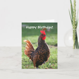 Happy Birthday, Rooster Card