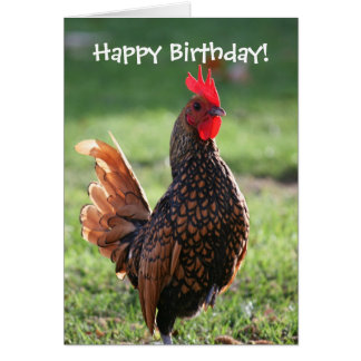 Rooster Happy Birthday Cards | Zazzle