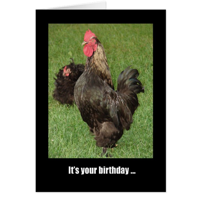 Happy Birthday Rooster, Strut Your Stuff! Card | Zazzle