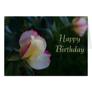 Happy Birthday Karen Gifts on Zazzle