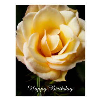 Happy Birthday Rose Postcards | Zazzle