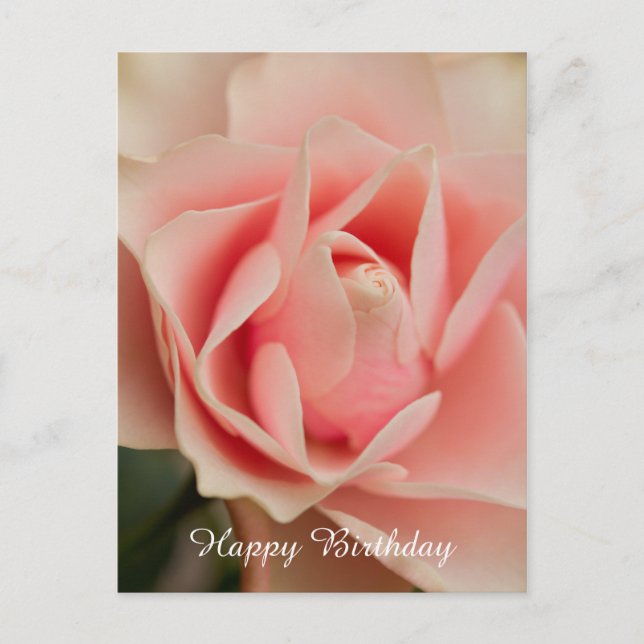 Happy Birthday Rose Postcard (Front)