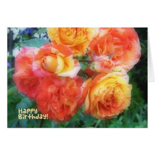 Happy Birthday Roses Cards (Front Horizontal)