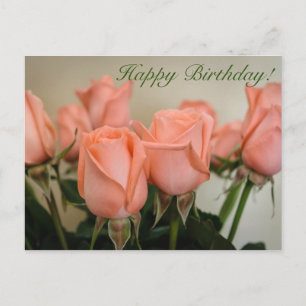 Happy Birthday! Roses Postcard