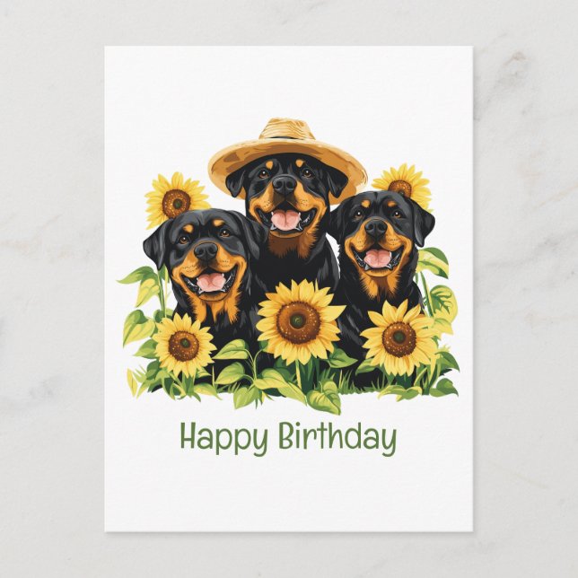 Happy Birthday Rottweiler Dogs Sunflowers Postcard (Front)