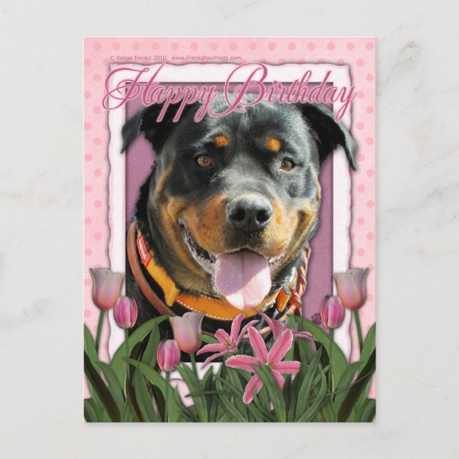 Happy Birthday - Rottweiler - SambaParTi Postcard (Front)